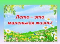 Отчет о работе ДОЛ Солнышко