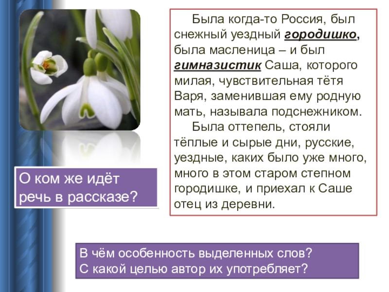 Бунин подснежник читательский дневник. Бунин и. "Подснежник". Рассказ Бунина Подснежник. Стих Подснежник Бунин. Рассказ Подснежник 5 класс.