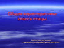 Общая характеристика класса птицы
