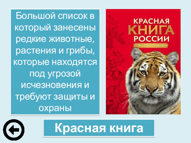 Сохраним богатство живого мира 5 класс биология картинки