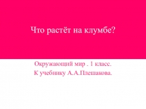 Презентация по окружающему миру на тему Что растет на клумбе