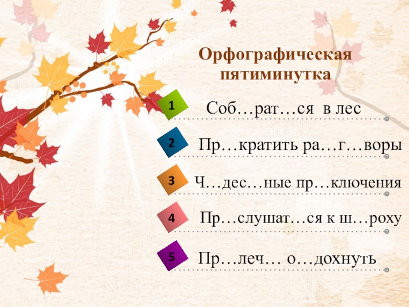 Карточки пятиминутки русский язык
