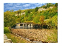 Презентация по биологии Память 8 класс