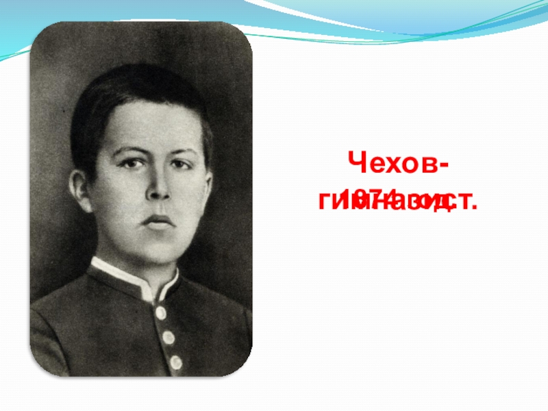 Шелест гимназист. Чехов гимназист. Антон Павлович Чехов гимназист. Чехов гимназист фото. Чехов Антон Павлович гимназист фото.