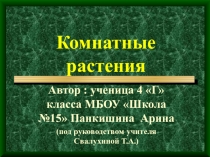 Презентация по окружающему миру на тему Комнатные растения для 4-5 класса