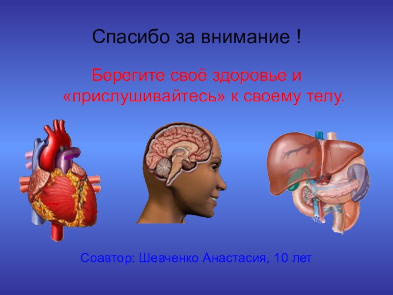 Презентация по биологии 8. Спасибо за внимание биология. Спасибо за внимание органы человека. Спасибо за внимание анатомия. Спасибо за внимание мозг.