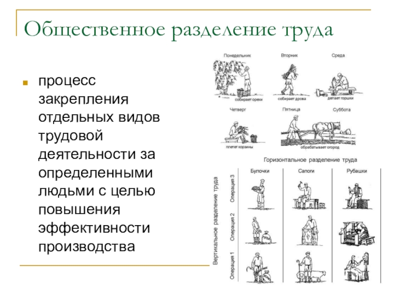 Разделение труда картинки