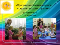 Предметно-развивающаяся среда в старших группах.