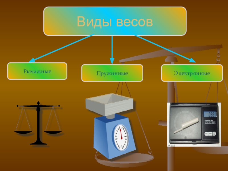 Измерение массы тела на рычажных весах