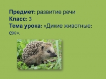 Презентация по развитию речи на тему Дикие животные: еж (3 класс)