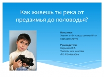 Исследовательская работа - Как живешь ты река от предзимья до половодья, 3 класс