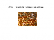 Презентация по химии на тему: Пчелиный мёд. (10 класс)