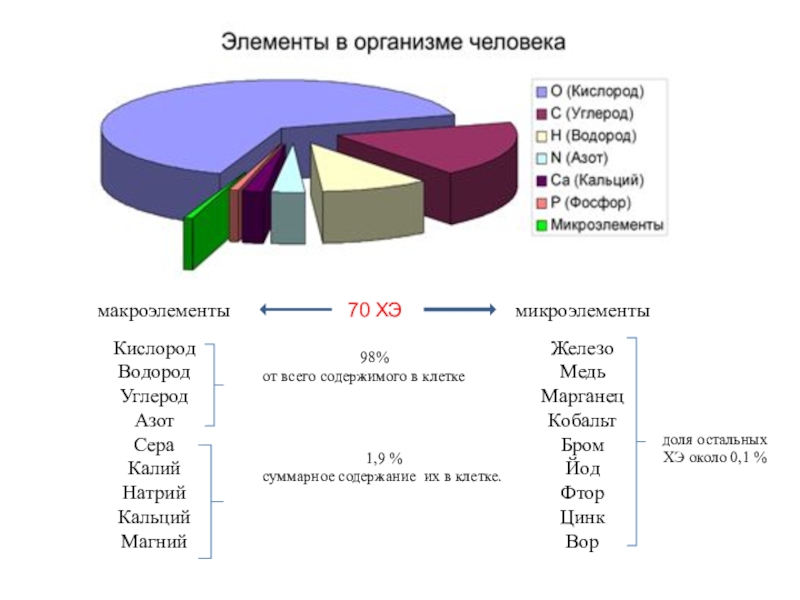 Содержат углерод кислород водород. Содержание азота в живых организмах. Содержание углерода в организме. Содержание углерода в человеческом организме. Содержание кислорода в живых организмах.