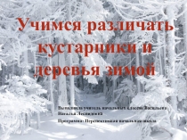 Презентация по окружающему миру на тему Учимся различать деревья зимой (1 класс УМК ПНШ)