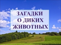 Презентация Загадки о диких животных