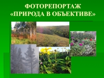 Презентация Природа Забайкальского края