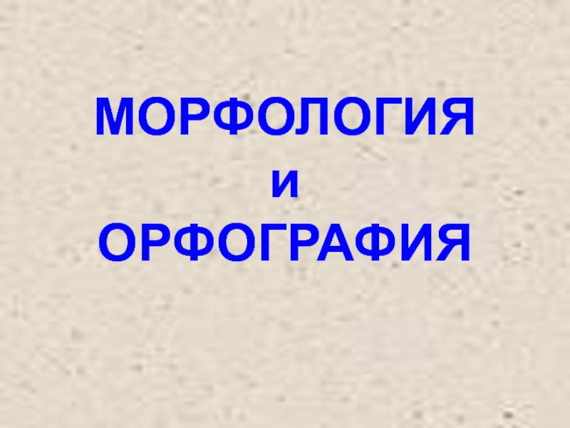 Презентация на тему морфология