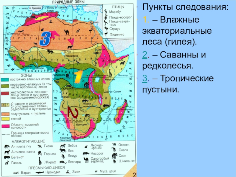Три природные зоны африки. Природные зоны Африки 7 класс география карта. Природные зоны материка Африка. Карта природных зон Африки 7 класс. Географическая карта Африки природные зоны.