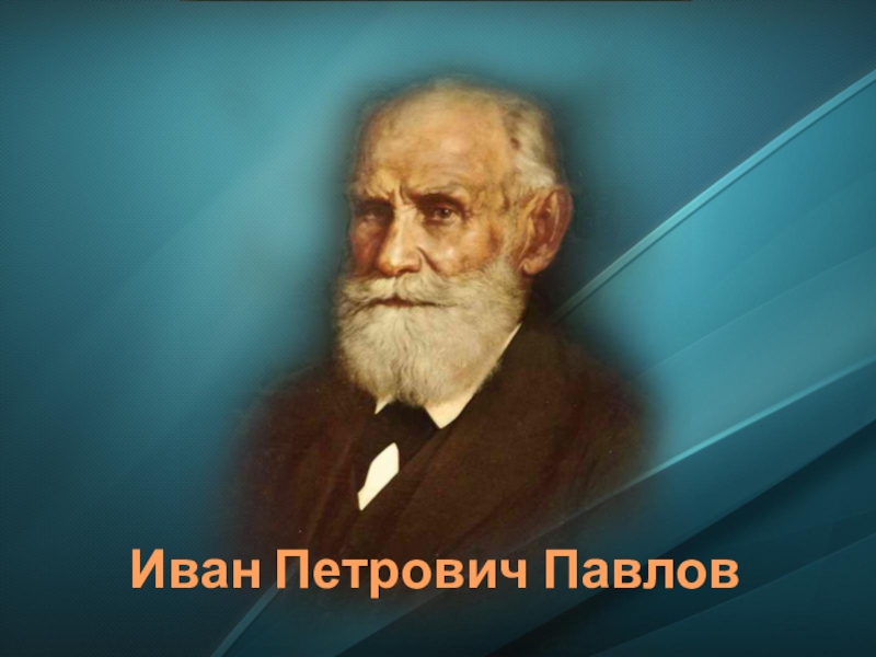 Иван петрович павлов презентация по биологии