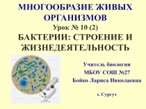 Презентация по биологии на тему Бактерии - строение и жизнедеятельность (5 класс)