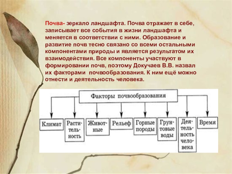 Докучаев назвал почву зеркалом природы какие. Почва как компонент ландшафта. Почва зеркало ландшафта. Почему почва зеркало ландшафта. Почвы являются зеркалом ландшафта.