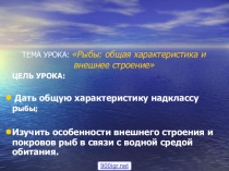 Презентация Класс рыбы 7 класс