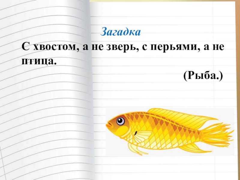 Загадка хвост. А не птица а не зверь загадка. А не птица загадка. Придумать загадку а не птица. Загадка : ..., а не пртицп,....