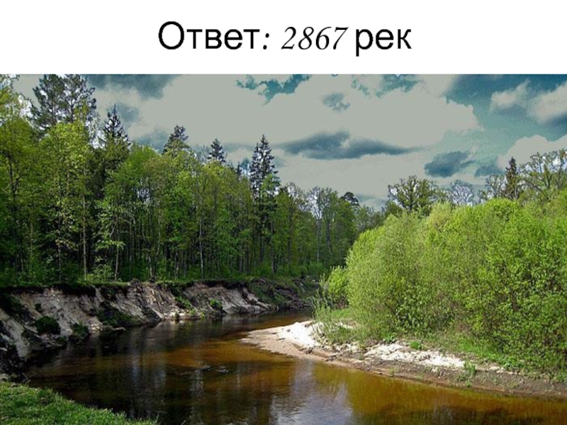 Найти ответы река. Река Снежка Брянск. Брянский Лесной массив. Брянск Снежка лес. Река Снежка информация.