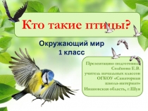 Презентация к уроку по окружающему миру по теме Кто такие птицы (1 класс)