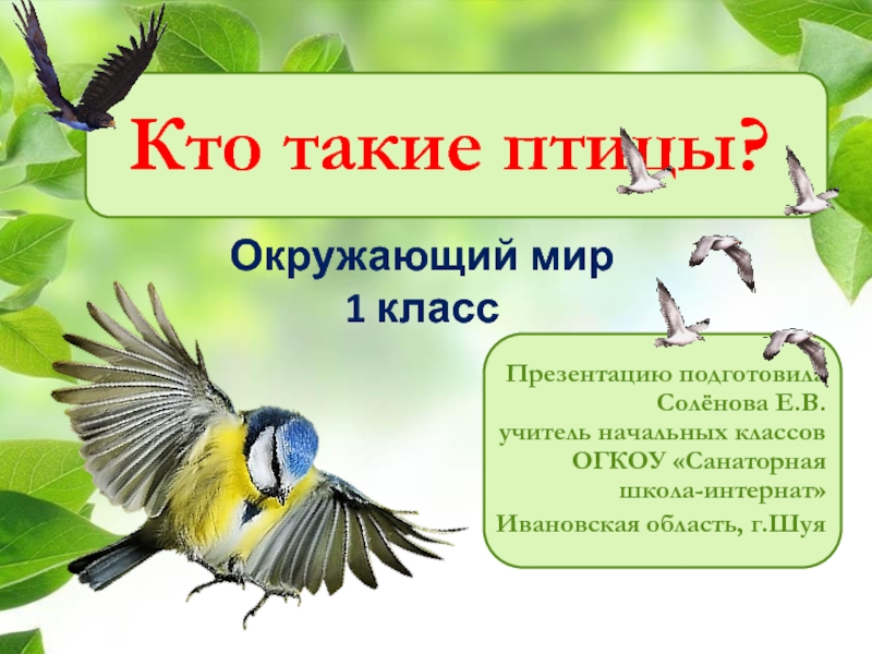 Презентация Презентация к уроку по окружающему миру по теме Кто такие птицы (1 класс)
