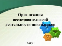 Организация исследовательской деятельности в школе