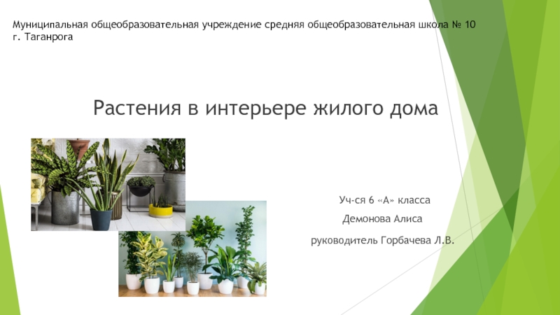 Презентация по технологии 6 класс.Проект на тему: Растения в интерьере жилого дома.