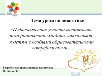 Презентация по теме Педагогические условия воспитания толерантности младших школьников к детям с особыми образовательными потребностями