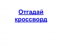 Презентация к интегрированному уроку по биологии и математике в5 классе Путешествие по Воронежскому зоопарку