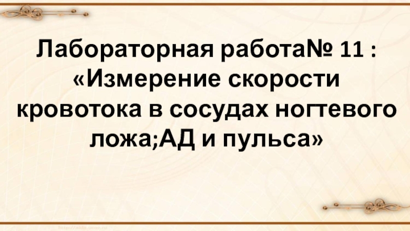 Лабораторная работа измерение скорости кровотока в сосудах