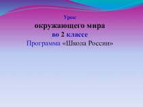 Презентация по окружающему миру Дикие и домашние животные