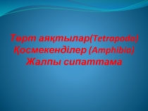Төрт аяқтылар(Tetrapoda) Қосмекенділер (Amphibia) Жалпы сипаттама
