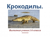 Презентация по окружающему миру на тему Пресмыкающиеся