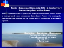 Презентация. Тема: Влияние Волжской ГЭС на экосистему Волго-Ахтубинской поймы