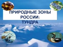 Презентация по ркружающему миру на тему: Природные зоны России:Тундра 4 класс