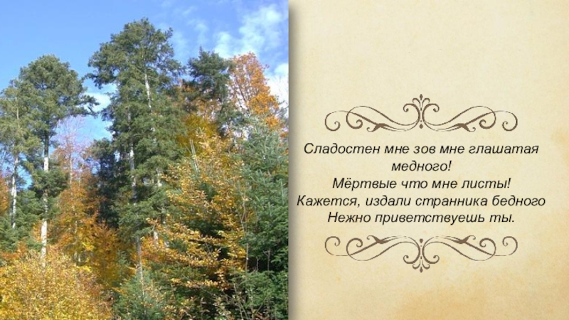 Ель мне тропинку завесила фет. Афанасий Афанасьевич Фет ель рукавом мне тропинку завесила. Иллюстрация к стиху Фета ель рукавом мне тропинку завесила. Сладостен Зов мне глашатая медного. Стихотворения сладостен Зов мне глашатая медного.