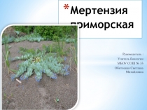 Презентация по биологии на темуРастения побережья края ( 5 класс)