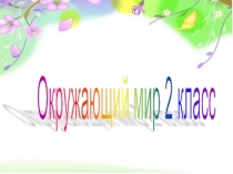 Презентация к уроку Живой уголок 2 класс