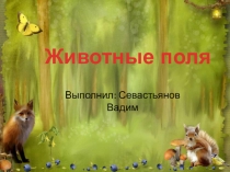 Презентация по окружающему миру Животные поля
