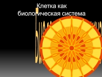 Презентация по биологии на тему: Клетка. Строение клетки
