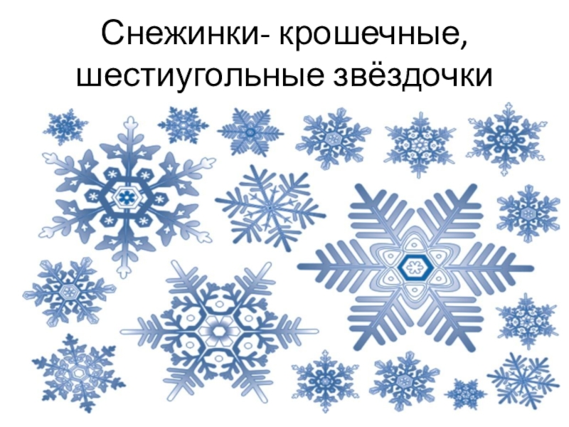 Правильная снежинка. Рождение снежинки. Формирование снежинки. Образование снежинок для детей. Снежинки образуются из.