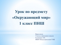 Презентация по окружающему на тему В лес по ягоды пойдем (ПНШ, 1 класс)