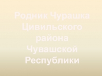 Презентация по основам экологического права Родник Чурашка Цивильского района Чувашской Республики