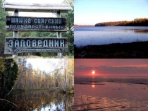 Проект на тему: нижне-свирский заповедник с презентацией