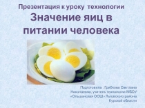 Презентация по технологии 5 класс  Значение яиц в питании человека